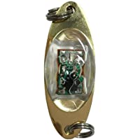 Kongnijiwa Forma LED Deep Drop Submarino Ojo Pesca Pescado Calamar señuelo Ligero Mini Metal Lámparas Intermitente